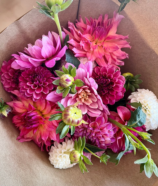 Bi-Weekly Dahlia Arrangement Subscription (6 Total bouquets)