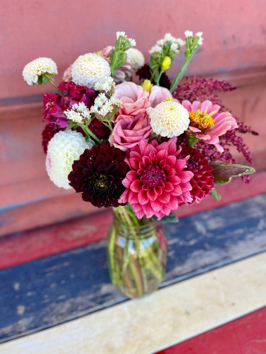 8 Week Dahlia Arrangement Subscription